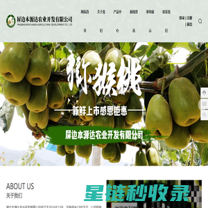 屏边本源达农业开发有限公司-猕猴桃种植销售